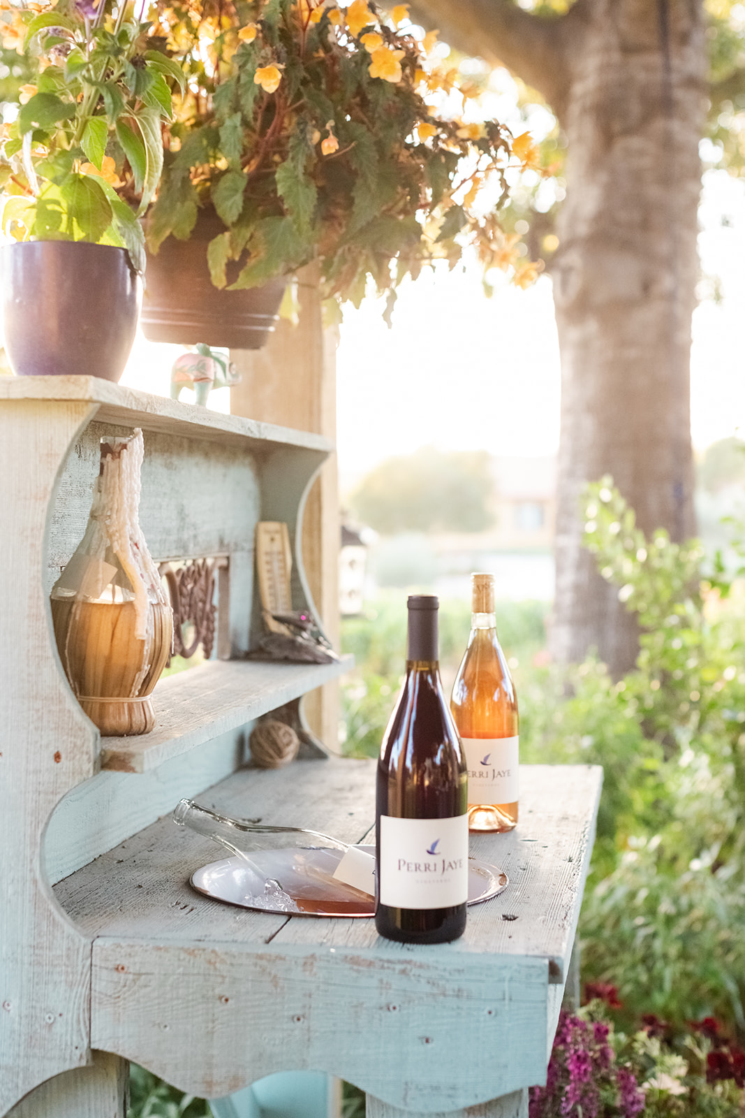 Vineyard growing season